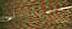 79080 "Holiday Season" Tweed