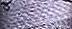 79010 "Hot Passion" Tweed