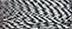 79000 "Zebra" Tweed
